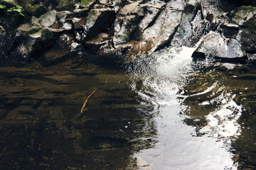 Mountain river surrounded by mountains. A waterfall flowing down from a Sheer cliffs . blue clear water of the river. Rocky stones and forest Alpine landscape