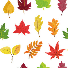 A seamless pattern of autumn colorful leaves orange, yellow, red and green. Foliage in a flat style on a white  background . Perfect for autumn wrapping paper, screensavers, textiles, wallpapers