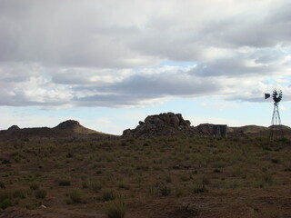 Joshua Tree National Park Arid Landscape Boulders Clouds Rabbit