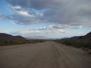 Joshua Tree National Park Arid Landscape Boulders Clouds Rabbit