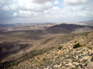 Joshua Tree National Park Arid Landscape Boulders Clouds Rabbit