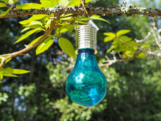 Blue light bulb hanging from a branch in a garden. Creative garden decoration ideas.