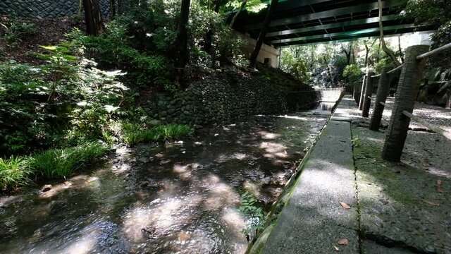 【東京都】等々力渓谷【2020 4K】
