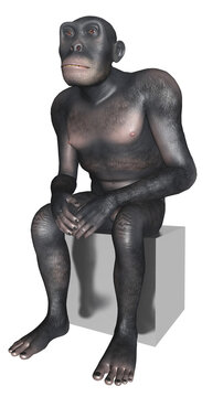 Homo habilis sitzt auf einem Quader, Freisteller