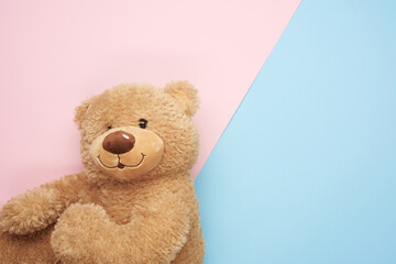 cute brown teddy bear on a pink-blue background, top view