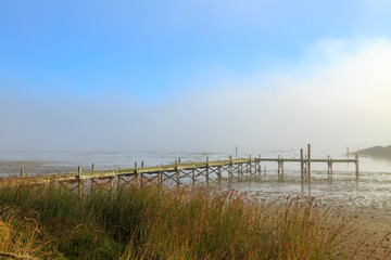 Obraz premium A wooden pier on a lake on a misty morning. Photographed at Lake Taupo, New Zealand