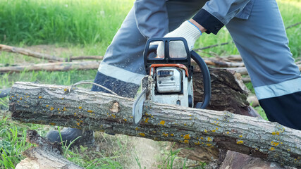 man saws a log with a chainsaw on a background of green grass.