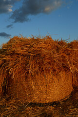 Hay bales close-up in the golden light of the evening sun