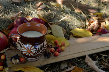 Fototapeta na wymiar Milk in a ceramic mug on a blackboard on a background of apples, dried grass and yellow cherry leaves