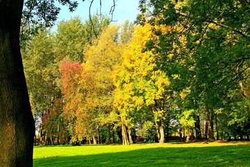 park, przyroda, drzewa, rośkinność , natura, strumyk, panorama, las, drzewostan,  © woodyd