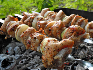 Skewers with ruddy pieces of marinated spiced chicken fillet, lard and onion rings over charcoal