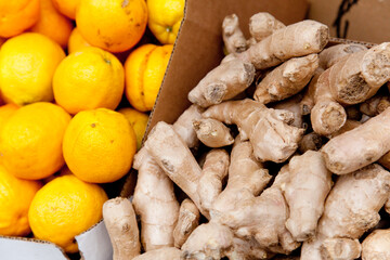 オレンジと生姜