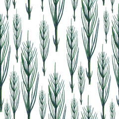 Green horsetail plant seamless pattern. Herbal Equisetum arvense on white background. Watercolor hand drawing illustration. Perfect for print, cover, digital paper, medical design.