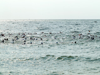 ODESSA, UKRAINE - August 21, 2018: Many swimmers started in sea at Race Nation. Many Professional athlete in triathletes trains for an ironman. Sportsman beautifully floats in sea at competitions