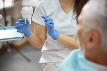 Dental specialist showing a tooth replica to a patient