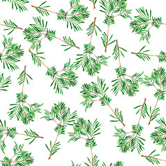Watercolor seamless pattern of coniferous branches. Fir branches.