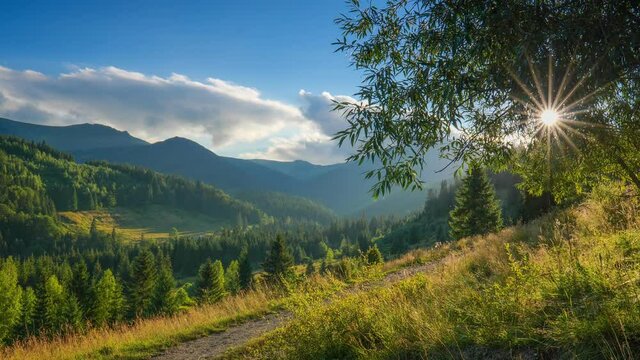 Green mountains at sunset. Magnificent hiking trails, recreation glades and green trees. Rays of the setting sun break through the foliage of the tree. High quality HDR shot