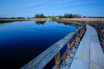 parque nacional Tablas de Daimiel, Ciudad Real, Castilla-La Mancha, españa, europa