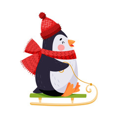 Adorable Penguin with Red Cheeks in Warm Hat Sledging Vector Illustration