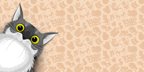 Illustration banner with cute gray cat on beige background.
