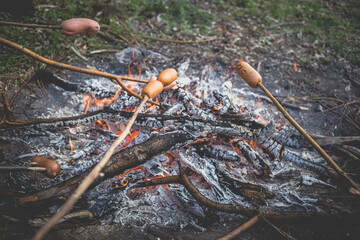 Cooking fried sausages on a fire in the forest