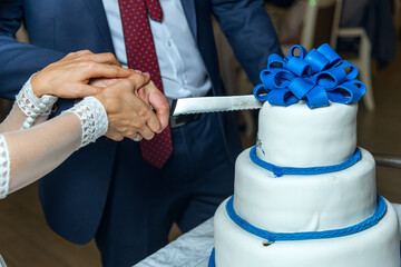 bride and groom cut the cake
