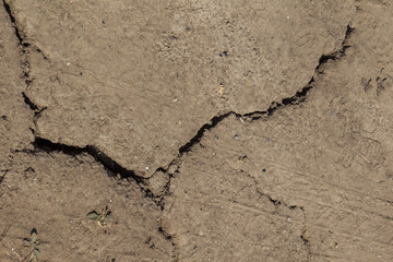 Earth land cracks with dust and rough dry surface texture, Earth's drought water shortage (Global Climate Change). The surface of drylands. Vegetation breaks through cracks in ground