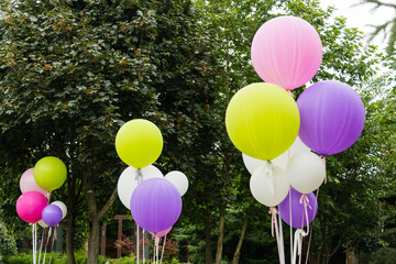 colorful balloons in the garden