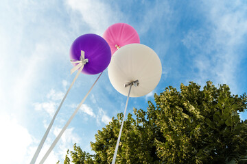colorful balloons in sky
