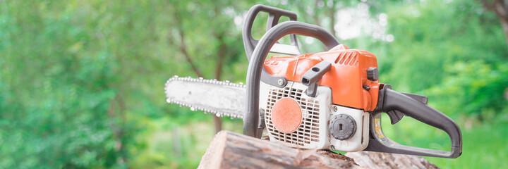 chainsaw lies on sawn logs among the greenery of the forest, selective focus blurred background