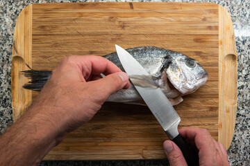 Caucasian male hand holding a kitchen knife preparing to cut and gut a market frozen raw sea bream fish on a wooden board granite counter top