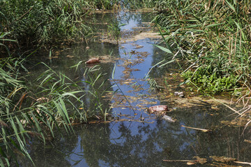 Spilled garbage to small river. Empty used dirty plastic bottles float in canal water. Pollution of environment by household waste. Ecological problem. River contaminated with various garbage