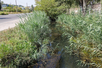 Large amount of debris and dirty wastewater causes rapid growth of algae in lake. Water pollution. Ecological problem. Sewage sewage dirty water flows in an open city channel