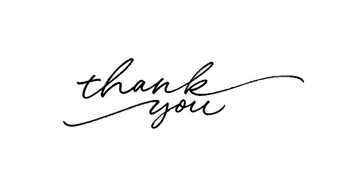 Thank you ink brush vector lettering. Thank you modern phrase handwritten vector calligraphy with swooshes. Black paint lettering isolated on white background. Postcard, greeting card, t shirt print.