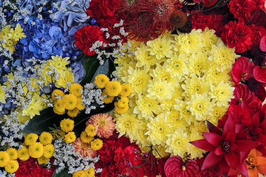 Background of flowers, different varieties and shades.