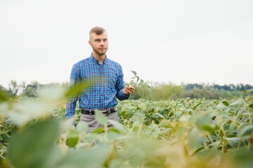 Young farmer in soybean fields