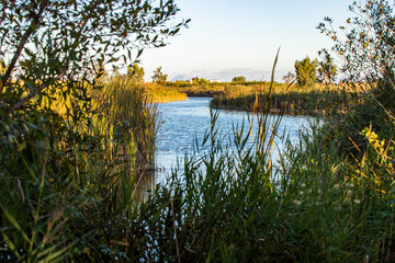 Albufera Valencia