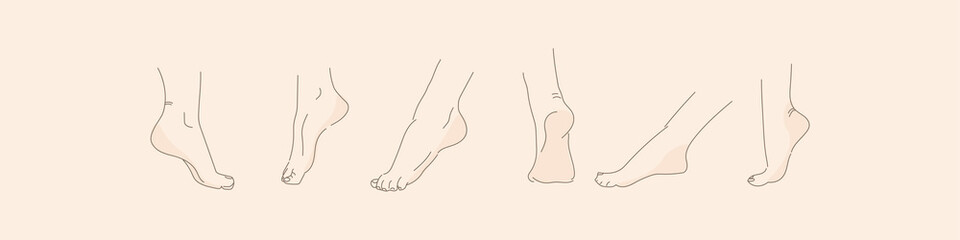 Vector human foot in various poses. Hand drawing with a line. Set of female feet for design.