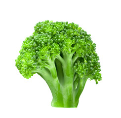 Ripe Broccoli Cabbage Isolated on White