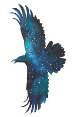 Watercolor raven's silhouette with night sky on white