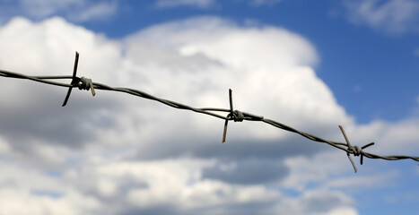 abstract barbed wire