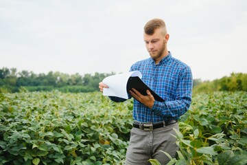 Farmer or agronomist examining green soybean plant in field