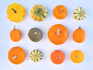 Collection of different pumpkins and squashes.