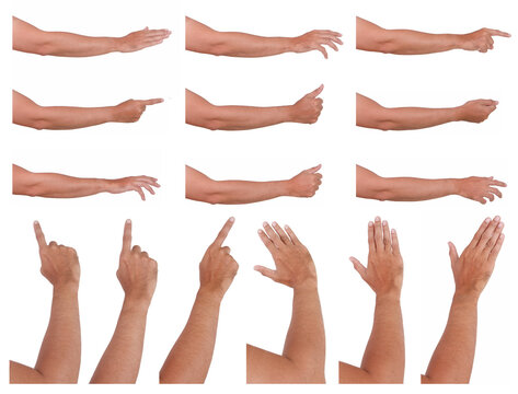 GROUP of Male and Female asian hand gestures isolated over the white background.