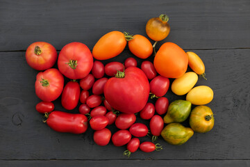 Colorful heirloom tomatoes collection.