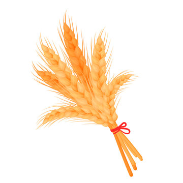 Wheat Bundle Icon Images – Browse 2,402 Stock Photos, Vectors, and Video |  Adobe Stock