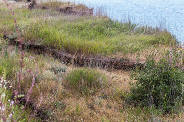 Deep cracks in the earth in the landslide zone of the sea coast after the last hurricane and earthquake. Earth in large dangerous cracks. Danger of avalanches and soil movement. Web cracks in ground