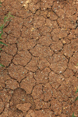 Deep cracks in the earth in the landslide zone of the sea coast after the last hurricane and earthquake. Earth in large dangerous cracks. Danger of avalanches and soil movement. Web cracks in ground