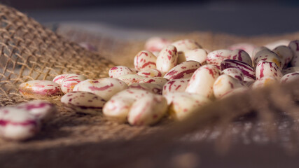 Cranberry beans raw cleaned on jute background, sunray on beans