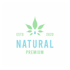 Nature Water premium Vector Logo illustration organic design
